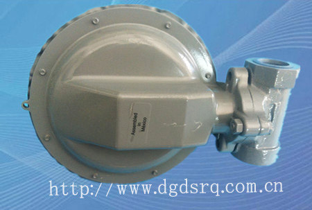 1803DN25侧调压器