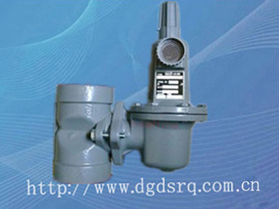 天燃气2寸DN50调压器减压阀