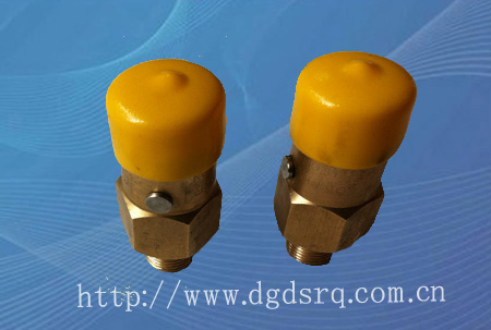 美国力高安全阀3127G，3129G