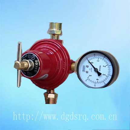 Rego 597FB配中压表