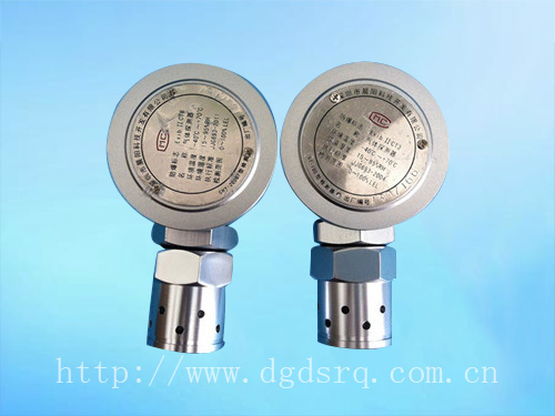 可然气体报警器2路探头